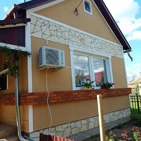 Olga Vendeghaz Apartment Abádszalók Exterior foto