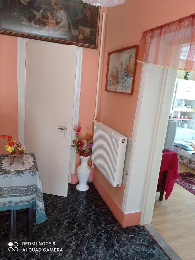 Olga Vendeghaz Apartment Abádszalók Exterior foto