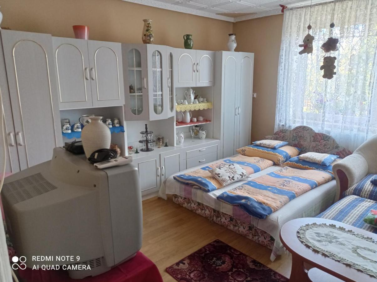 Olga Vendeghaz Apartment Abádszalók Exterior foto