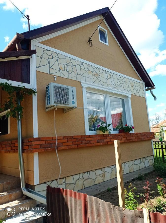 Olga Vendeghaz Apartment Abádszalók Exterior foto